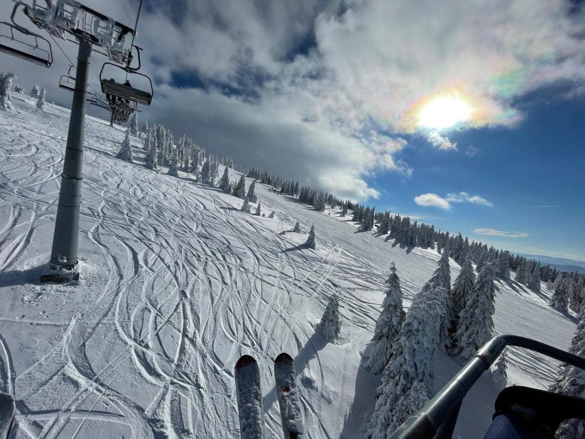 Pano Kopaonik Panorama Lejlighed Eksteriør billede